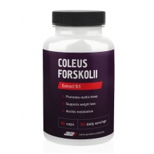  Protein Company Coleus Forskohlii 90 